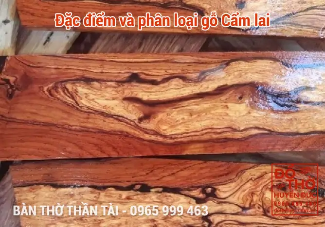 Đặc điểm và phân loại gỗ Cẩm lai