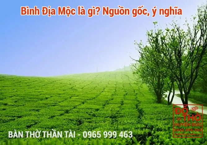 Bình Địa Mộc là gì? Nguồn gốc, ý nghĩa